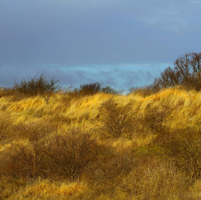无人,横图,室外,白天,海洋,水,风,暴风雨,多云,荷兰,天气,草,风景,天空,自然,摄影,宁静,环境,雷雨