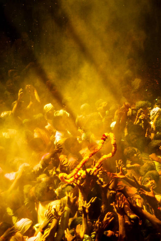 手,人群,站,竖图,俯视,日光,印度,朦胧,模糊,庆祝,花环,许多人,半空,刺激,插花,一群人,伸手,人体,摄影,宗教,群众,印度文化,北方邦,印度次大陆,彩图,高角度拍摄,欢乐,胡里节,传统文化,传统节日