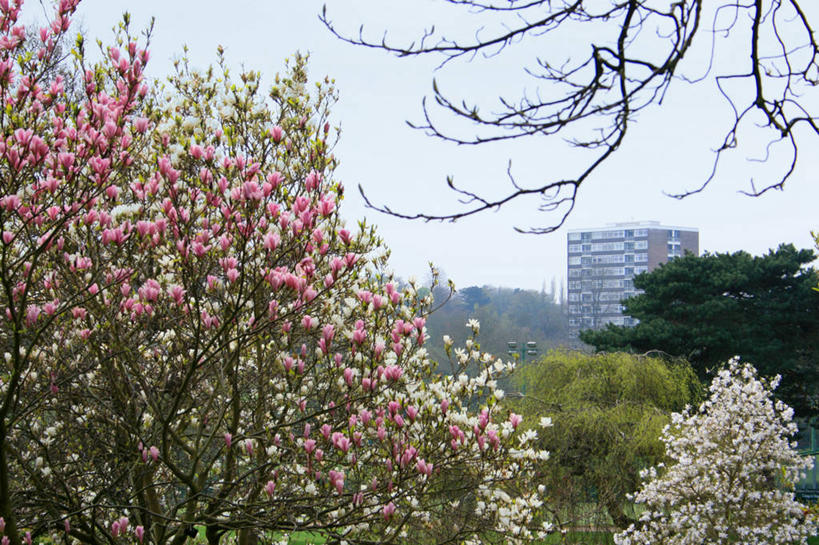 无人,横图,室外,白天,美景,建筑,英国,欧洲,景观,枝,英格兰,树,风景,天空,自然,春天,景色,摄影,西欧,自然风光,北欧,大不列颠,大不列颠及北爱尔兰联合王国,万里无云,大不列颠及爱尔兰联合王国,伯明罕,西米德兰兹郡,英吉利,西米德兰兹,旅行,大不列颠王国,大英帝国,联合王国,日不落帝国