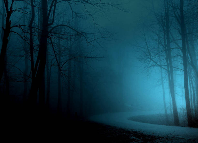 无人,横图,室外,白天,美景,雨,雾,美国,景观,天气,风景,自然,景色,摄影,宁静,环境,国家公园,自然风光,马萨诸塞,维吉尼亚,阿默斯特