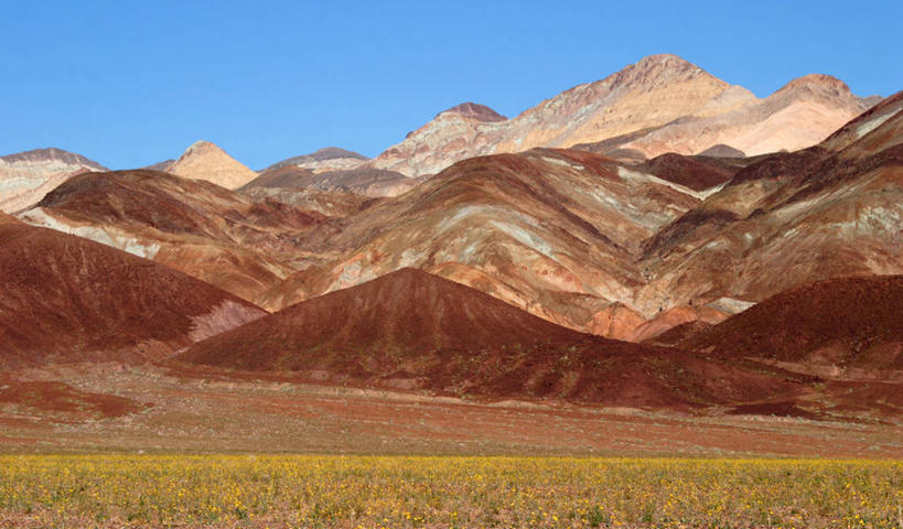 无人,横图,室外,白天,美景,沙漠,山,山脉,美国,沮丧,景观,野花,花,风景,天空,自然,景色,摄影,生长,宁静,环境,北美,北美洲,国家公园,加利福尼亚,自然风光,美洲,死亡谷国家公园,万里无云,北亚美利加洲,亚美利加洲,大盆地国家公园,旅行,美利坚合众国