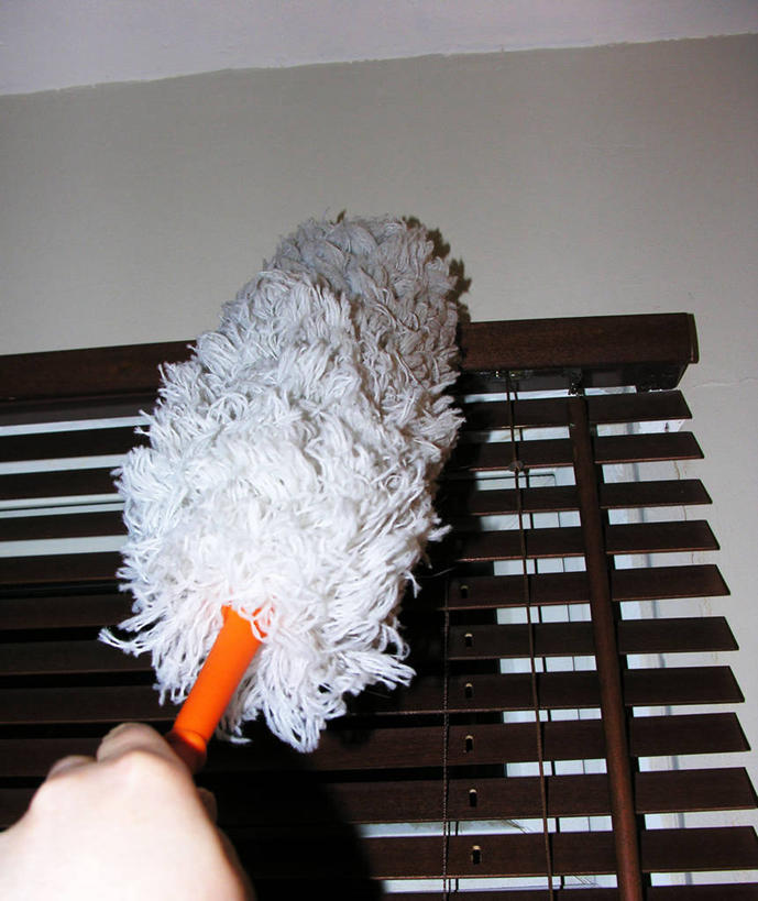 手,一个人,竖图,室内,特写,家务,英国,欧洲,伦敦,首都,百叶帘,人体,摄影,打扫,部分,西欧,北欧,掸子,大不列颠,大不列颠及北爱尔兰联合王国,大不列颠及爱尔兰联合王国,雾都,彩图,大不列颠王国,大英帝国,联合王国,日不落帝国