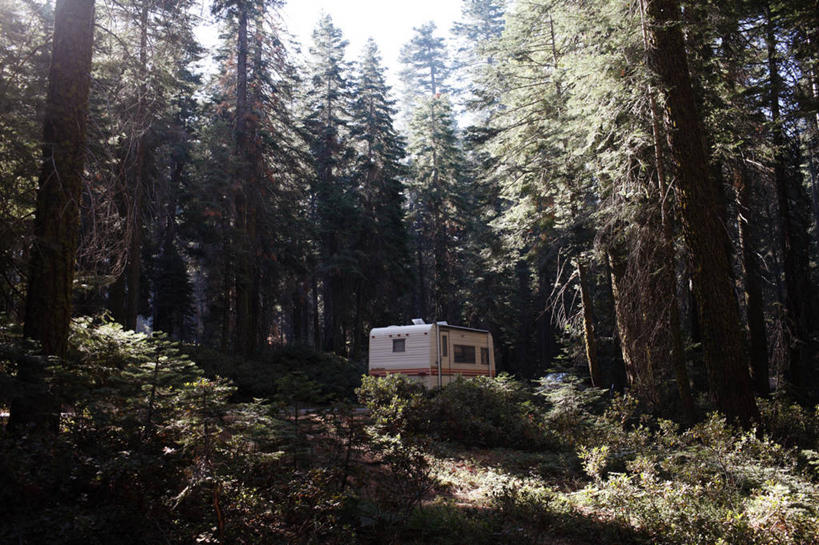 无人,横图,室外,白天,旅游,树林,美国,地形,树,风景,摄影,宁静,加利福尼亚,优胜美地国家公园,彩图,旅行