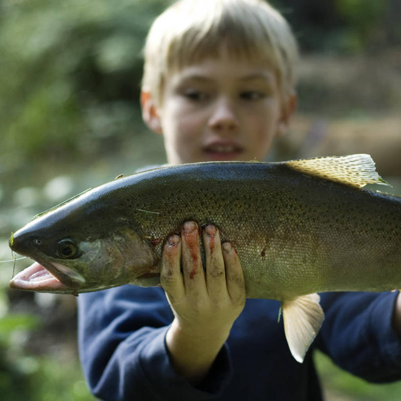 西方人,儿童,一个人,方图,室外,白天,旅游,度假,纯洁,骄傲,美景,欧洲,美国,欧洲人,仅一个男性,仅一个人,景观,拿着,娱乐,小孩,自然,仅一个小孩,享受,休闲,景色,放松,可爱,童年,童趣,摄影,虹鳟鱼,成就,自然风光,肖像,出示,童真,烂漫,无邪,天真,男孩,男人,男性,白种人,孩子,半身,彩图,钓鱼,男生