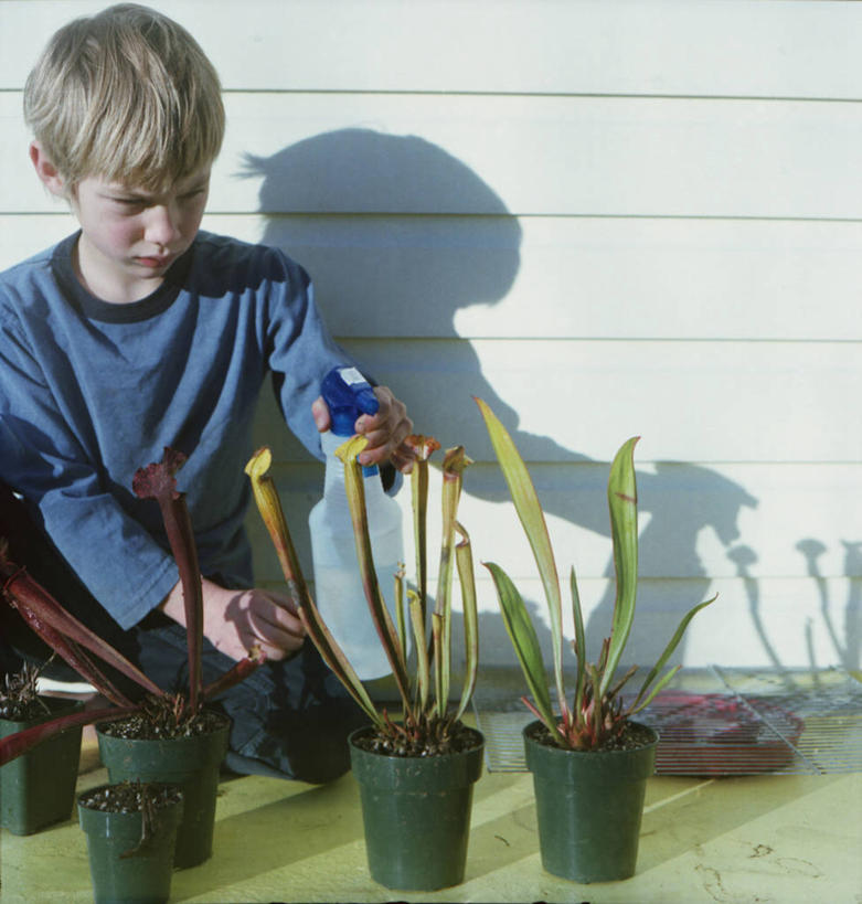 西方人,儿童,头发,一个人,竖图,室外,白天,正面,纯洁,建材,植物,建筑,欧洲,欧洲人,仅一个男性,仅一个人,喷,材料,木板,木材,园艺,拿着,休闲装,浇水,木柴,小孩,绿色,自然,仅一个小孩,金色,可爱,童年,童趣,摄影,建造,木料,生长,成长,专心,喷雾瓶,关爱,童真,烂漫,无邪,波特兰,天真,男孩,男人,男性,白种人,孩子,彩图,男生
