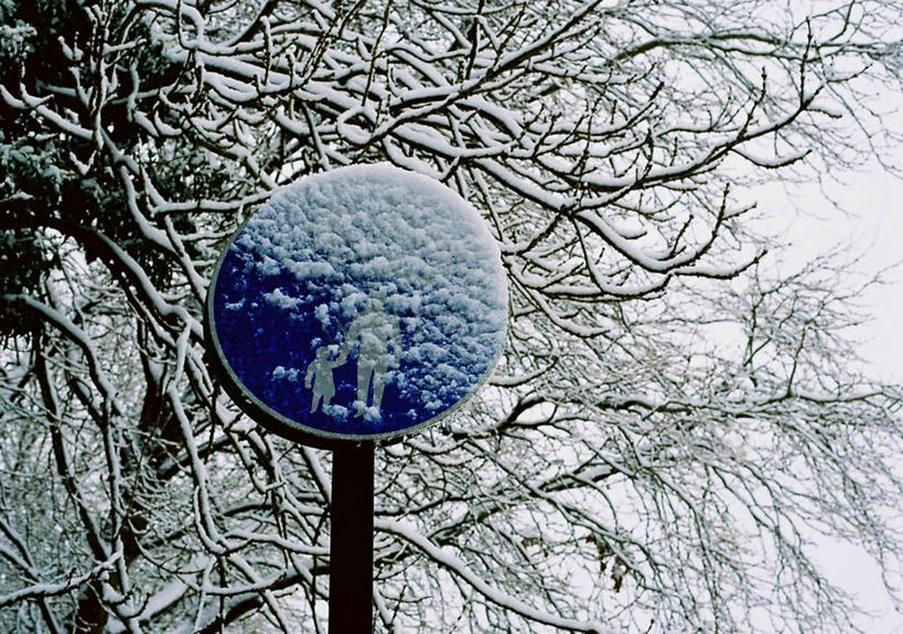 横图,室外,白天,仰视,雪,英国,覆盖,圆形,冬天,枝,英格兰,寒冷,摄影,交通标志,布里斯托大学,彩图,低角度拍摄