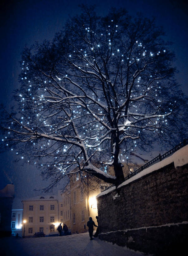 竖图,室外,夜晚,雪,街道,照明,爱沙尼亚,彩灯,冬天,古城,围墙,灯光,首都,灯,灯具,寒冷,摄影,花灯,照亮,迷人,照明设备,剪影,圣诞灯,塔林,彩图