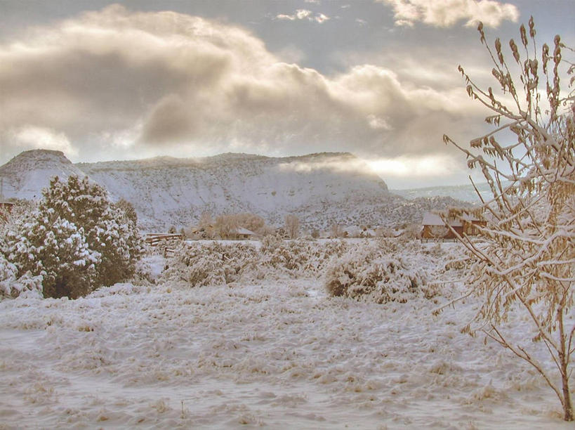 无人,横图,室外,白天,草地,美景,暴风雨,美国,景观,云,树,自然,景色,摄影,宁静,北美,北美洲,岩层,自然风光,美洲,科罗拉多州,科罗拉多,北亚美利加洲,亚美利加洲,百年州,岩石,彩图,美利坚合众国