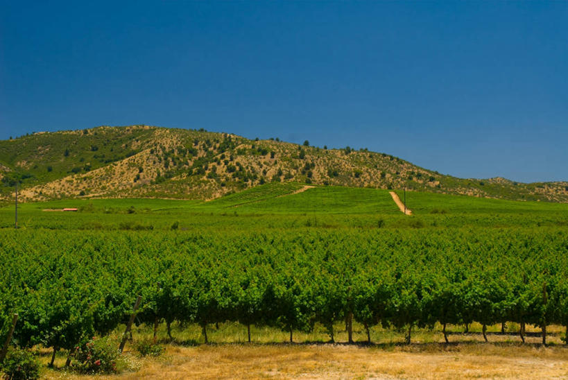 葡萄酒,无人,横图,室外,农业,美景,山,智利,地形,景观,田地,山谷,葡萄园,蓝色,绿色,风景,天空,自然,景色,南美,摄影,南美洲,拉丁美洲,自然风光,美洲,亚美利加洲,南亚美利加洲,智利共和国,彩图,科尔查瓜省