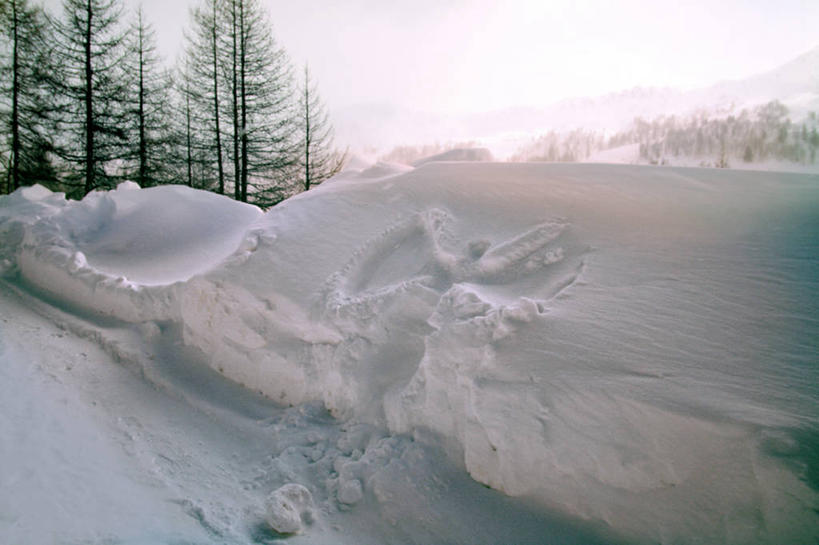 无人,横图,室外,白天,雪,法国,地形,冬天,白色,风景,摄影,宁静,阿尔卑斯山脉,常绿树,彩图