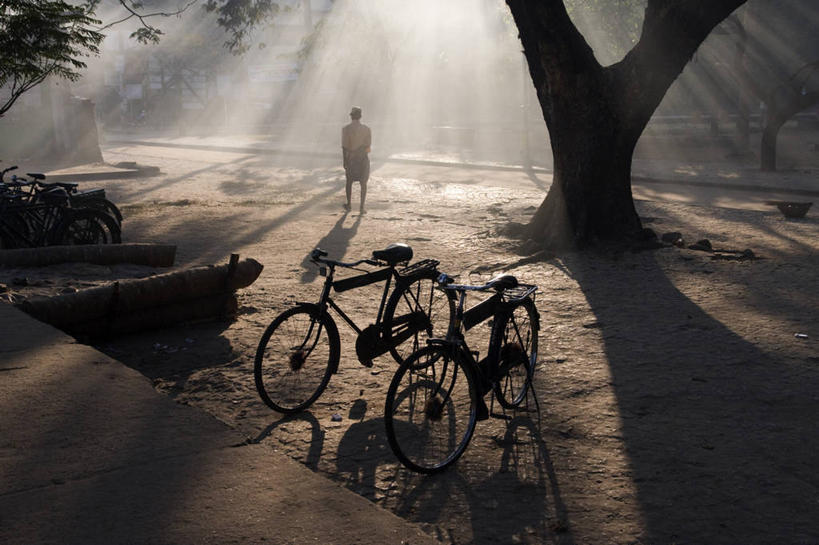 成年人,一个人,横图,室外,镜头眩光,自行车,日光,印度,仅一个男性,阴影,黎明,休闲装,树,背面,自然,运输,摄影,早晨,印度文化,喀拉拉邦,科钦,步行,彩图