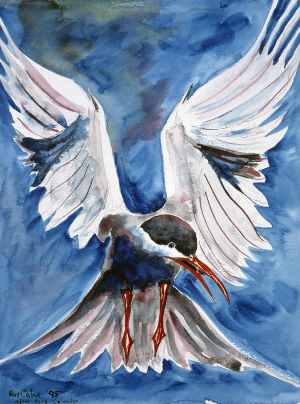 无人,竖图,插画,室外,白天,自由,数码,科技,海鸥,阴影,网络,高光,几何,计算机图形,合成,图画,飞,画,自然,电脑合成图,数码合成图,合成图,漫画,万里无云,写实,具体,具象,彩图