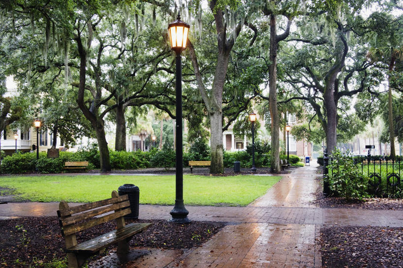 无人,公园,广场,横图,室外,白天,草坪,雨,城市,路灯,椅子,美国,湿,长椅,小路,天气,草,树,绿色,摄影,北美,彩图,查塔姆县