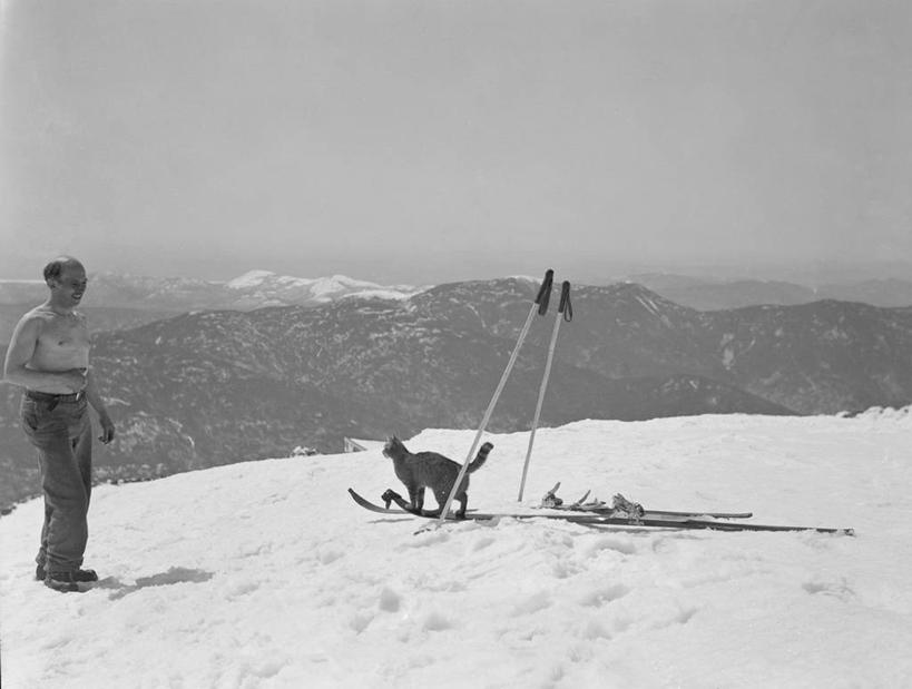 西方人,成年人,中年人,一个人,横图,黑白,室外,白天,山,雪,宠物,猫,欧洲,欧洲人,仅一个男性,仅一个人,仅一个中年男性,地平线,冬天,辽阔,地面,裸露,车,交通工具,广阔,寒冷,摄影,一望无际,雪橇,载具,延伸,裸,雪橇车,天地相交,无边无际,一马平川,滑雪运动,男人,男性,中年男性,白种人,休闲活动