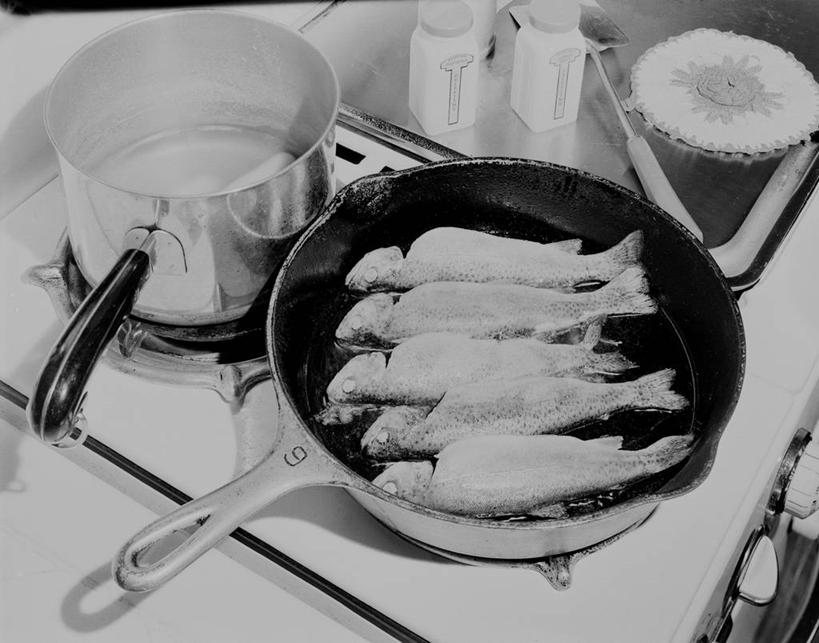 无人,横图,俯视,黑白,室内,白天,厨房,一排,准备,整齐,油炸,锅,饮食,排列,摄影,煎锅,队列,炊具,海产,高角度拍摄