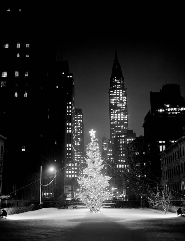 无人,竖图,黑白,室外,夜晚,天际线,道路,建筑,街道,路,摩天大楼,公路,照明,纽约,美国,圣诞节,庆祝,彩灯,冬天,灯光,曼哈顿,圣诞树,交通,灯,树,灯具,摄影,花灯,照亮,照明设备,市区,圣诞灯,马路