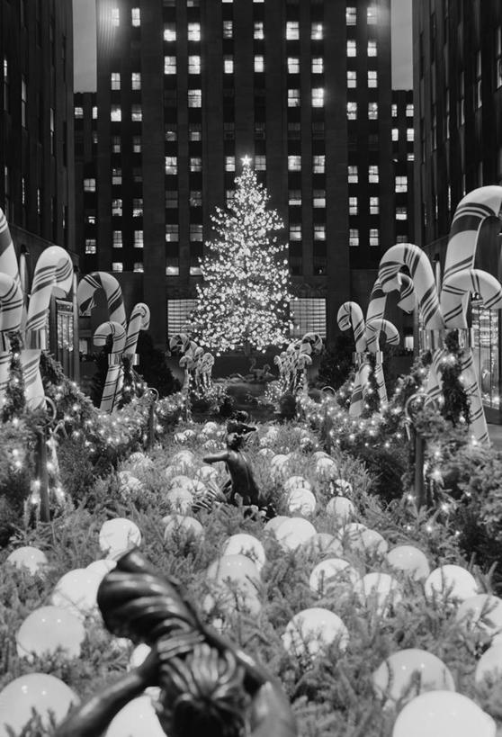 无人,竖图,黑白,室外,夜晚,城市,建筑,摩天大楼,照明,纽约,美国,圣诞节,节日,庆祝,装饰,彩灯,灯光,圣诞树,古典,文化,灯,装饰品,树,装饰物,灯具,庆典,摄影,花灯,纪念,华丽,修饰,照亮,点缀,照明设备,饰物,圣诞灯,纽约州,衬托,美观,雅致,雅观,广场饭店,传统文化