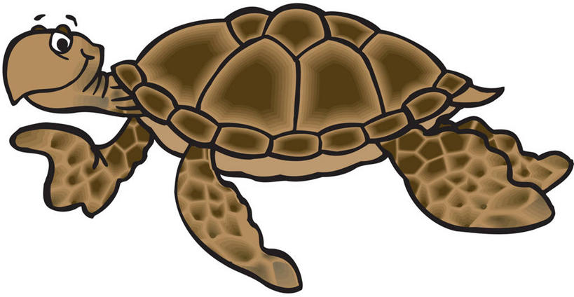 无人,微笑,横图,插画,白色背景,侧面,绘画,快乐,幸福,数码,科技,野生动物,阴影,艺术,网络,高光,几何,计算机图形,古典,合成,图画,文化,画,自然,工艺品,品味,手势,卡通,美术,电脑合成图,数码合成图,高雅,合成图,肖像,漫画,写实,具体,具象,美学,美术工艺,海龟,彩图,打手势,性格