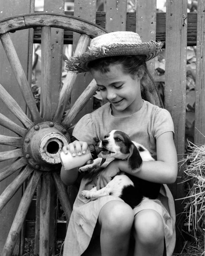 牛奶,儿童,一个人,农场,坐,微笑,竖图,黑白,室外,白天,旅游,度假,友谊,纯洁,美景,宠物,狗,帽子,美国,仅一个女性,仅一个人,草帽,景观,小狗,古典,拿着,注视,休闲装,娱乐,饮食,饮料,小孩,自然,动物,车轮,瓶子,夏天,观察,看,仅一个小孩,享受,休闲,家畜,景色,放松,可爱,童年,童趣,搭,摄影,观看,察看,专心,搭着,关爱,关注,自然风光,童真,烂漫,无邪,喂养,天真,女孩,女人,女性,孩子,拥抱,爱,女生,纯种犬