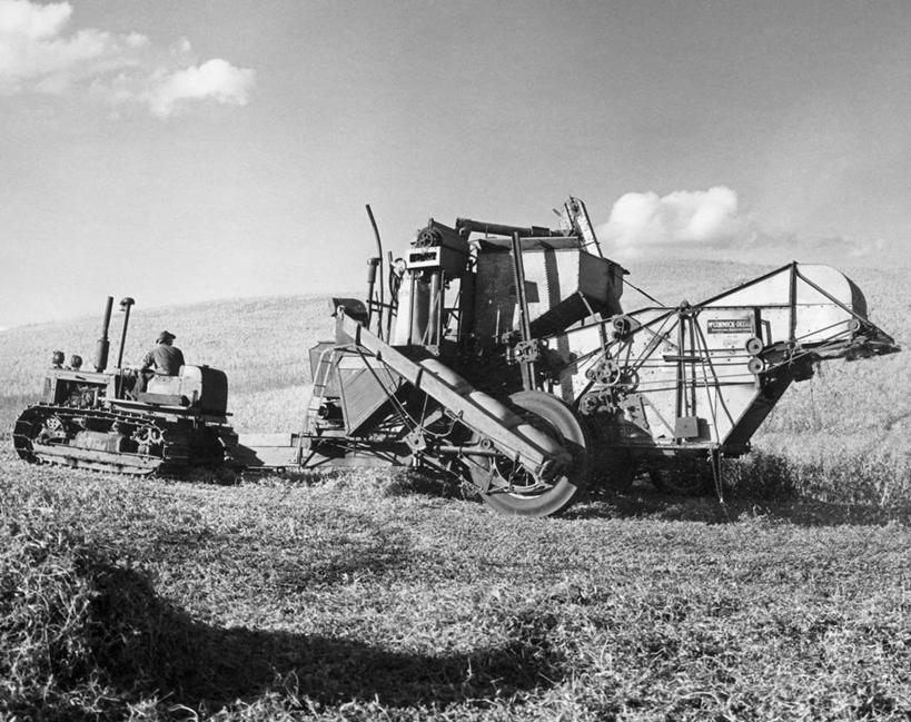 一个人,农民,农场,坐,横图,黑白,室外,白天,农业,农作物,机器,美景,植物,美国,朦胧,模糊,景观,田地,云,豌豆,天空,自然,机械,景色,摄影,收获,北美,自然风光,农具,华盛顿州,联合收割机,耕具,半身,农业机械