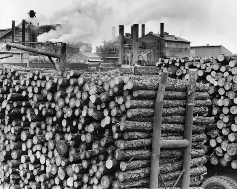 无人,工厂,横图,黑白,室外,白天,烟囱,建筑,汽车,堆叠,环保,木材,纸,陆地,破坏,设备,破损,车,物品,天空,交通工具,烟,工业,运输,摄影,能源,环境,损坏,制造,回收,资源,圆木,载具,利用,低碳,循环,工业建筑,磨坊,造纸厂,持续,旅行,官位,官职,职位,商用车,工业机械