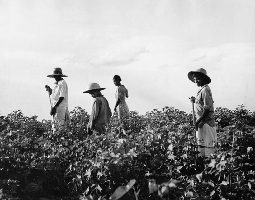 儿童,少年,成年人,中年人,老年人,一个人,四个人,人群,家庭,夫妻,母亲,父亲,儿子,兄弟,农场,横图,黑白,室外,白天,仰视,爱情,聚会,纯洁,团队,农业,植物,帽子,种族歧视,仅一个男性,仅一个人,工作,田地,聚餐,棉花,浪漫,休闲装,工人,仅一个年轻男性,小孩,天空,遮阳帽,职业,温暖,温馨,父子,母子,一家人,恩爱,父爱,可爱,母爱,童年,童趣,恋人,角度,摄影,生长,和睦,贫穷,青春期,童真,烂漫,无邪,天真,老年女性,男孩,男人,男性,年轻男性,年轻女性,女人,女性,中年女性,非洲人,孩子,年轻人,夫妇,情侣,员工,半身,低角度拍摄,匠人,劳动者,体力工,伴侣,融洽,男生,社会问题