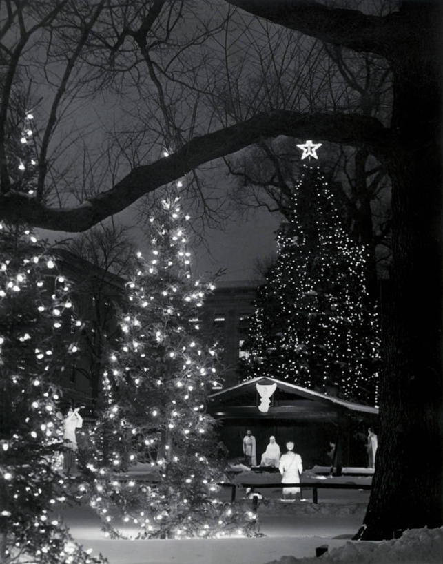 竖图,室外,夜晚,雪,建筑,圣诞节,五个人,节日,朦胧,模糊,装饰,篱笆,圣诞树,古典,树,树干,天空,寒冷,摄影,照亮,国家公园,都市风光,彩图,传统文化