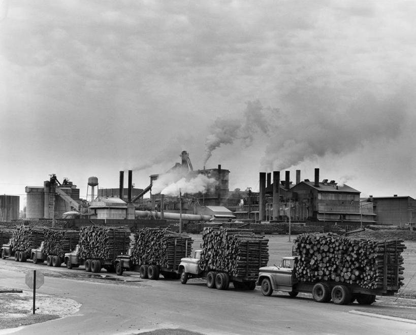 无人,工厂,横图,俯视,黑白,室外,白天,烟囱,建筑,路,汽车,堆叠,环保,木制,木材,纸,陆地,高处,破坏,设备,破损,车,物品,天空,交通工具,烟,工业,运输,角度,摄影,能源,环境,损坏,制造,回收,资源,圆木,运送,载具,利用,低碳,循环,工业建筑,磨坊,造纸厂,持续,高角度拍摄,旅行,官位,官职,职位,商用车