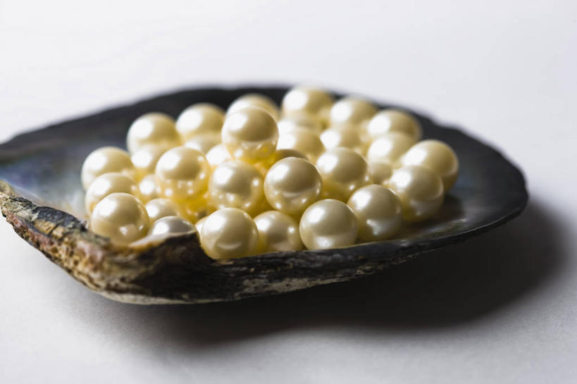 无人,横图,白色背景,美景,贝壳,许多,景观,很多,自然,景色,财富,摄影,简单,自然风光,华贵,想法,彩图,影棚拍摄,魅力,贵重宝石