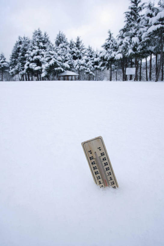 无人,竖图,室外,特写,白天,仰视,美景,雪,植物,大雪,生活用品,阴影,反射,医学,测量,器材,温度计,影子,刻度,积雪,景观,雪景,冬季,冬天,玻璃制品,树,树木,一个,绿色,自然,体温计,景色,寒冷,生长,单个,成长,快速,温度,感冒,医疗,准确,体温,精度,自然风光,精准,发烧,水银温度计,流感,物理,水银体温计,水银柱,缩口,玻璃体温计,玻璃温度计,医用温度计,严寒,彩图,低角度拍摄