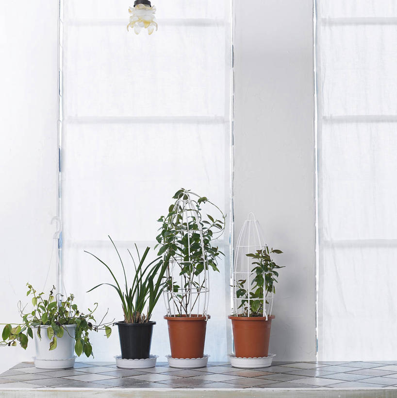 无人,竖图,室内,白天,正面,植物,窗户,叶子,花盆,一排,阴影,整齐,反射,盆栽,影子,陶瓷,墙,绿叶,盆景,陶瓷制品,玻璃窗,墙壁,墙面,排列,绿色,自然,容器,嫩叶,生长,成长,储藏,储存,队列,四盆,叶,叶片,彩图,贮存