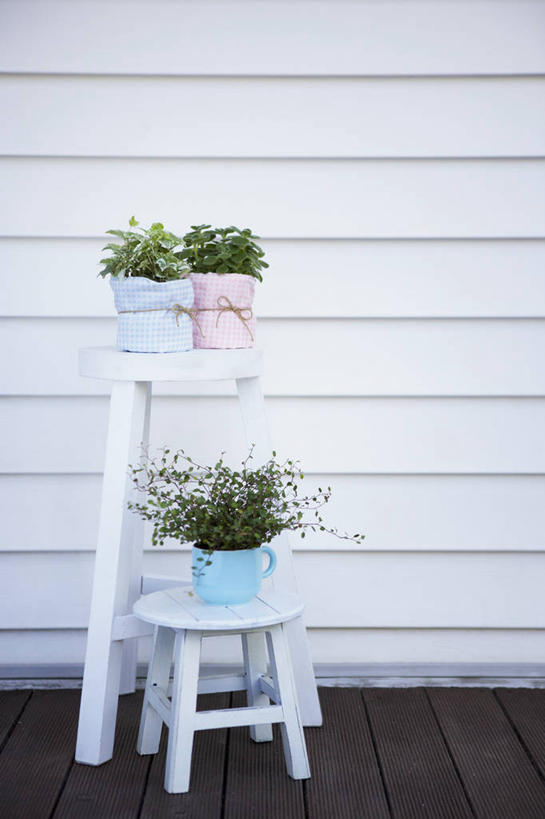 无人,竖图,俯视,室外,白天,植物,椅子,花盆,一排,阴影,整齐,光线,盆栽,影子,陶瓷,木椅,墙,盆景,陶瓷制品,两把,墙壁,墙面,排列,三个,绿色,白色,阳光,自然,容器,生长,成长,储藏,三盆,储存,队列,彩图,高角度拍摄,贮存