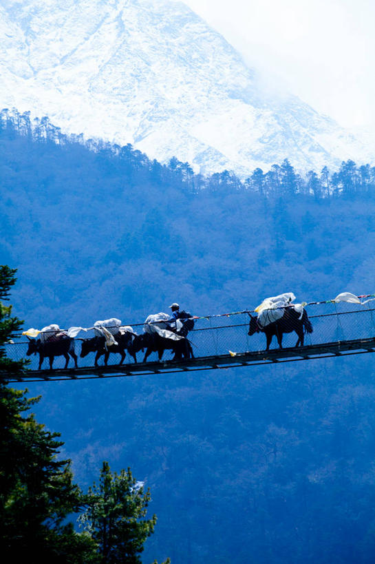 东方人,一个人,走,竖图,室外,白天,侧面,旅游,度假,美景,森林,山,树林,雪,雪山,植物,大雪,牛,亚洲,仅一个男性,仅一个人,四只,服装,冰,积雪,景观,山峰,乌云,雪景,云,阴天,云朵,冬季,冬天,桥,山峦,背光,云彩,休闲装,黄种人,娱乐,树,树木,仅一个年轻男性,衣服,绿色,天空,自然,动物,天,享受,休闲,休闲服,家畜,景色,放松,寒冷,服饰,吊桥,牲畜,生长,成长,人行桥,悬索桥,冰冷,昏暗,阴沉,自然风光,吊杆,逆光,喜马拉雅山脉,喜马拉雅山,严寒,喜马拉雅,冰凉,酷寒,凛冽,凛凛,极冷,锚锭,悬索,高原之舟,天祝白牦牛,男人,男性,年轻男性,亚洲人,牦牛,步行,散步,走路,彩图,全身