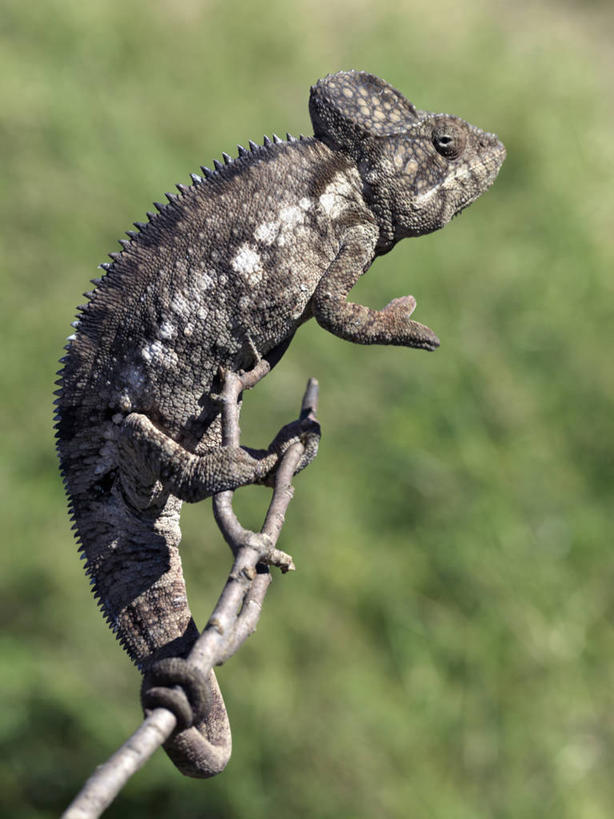 无人,横图,室外,兴奋,海洋,火山,山,水,雪,建筑,军事,科学,房屋,海岸线,田地,海湾,社区,职业,摄影,气象,住房,山脊,气候,南极洲,海军,冰河,南极半岛,海滩,彩图,海港,小屋,西南极洲,半岛,南冰洋,霍普湾
