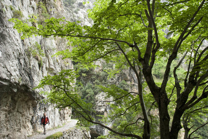 无人,竖图,室外,旅游,度假,街道,西班牙,欧洲,阿尔卑斯山,城镇,高处,摄影,西欧,伊比利亚半岛,阿斯图里亚斯,坎塔布利亚,彩图,旅行