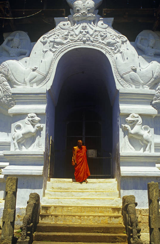 一个人,竖图,建筑,斯里兰卡,亚洲,摄影,宗教,佛教,康提,印度次大陆,僧侣,彩图,旅行