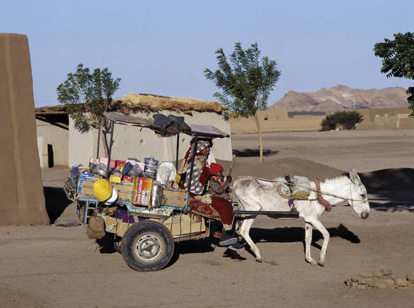 家庭,横图,商务,苏丹,市场,工人,零售,运输,摄影,伊斯兰教,销售,驾车,贩卖,贸易,驴车,驴子,撒哈拉沙漠,商人,员工,彩图,匠人,劳动者,体力工