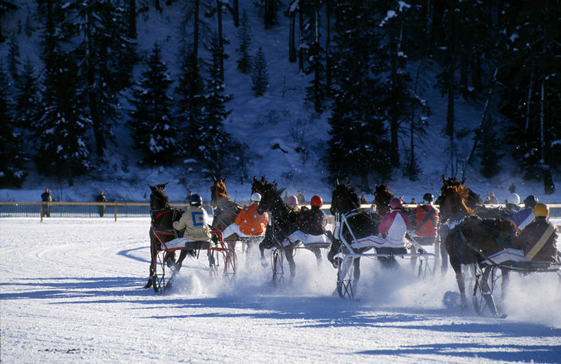 跑,横图,室外,锻炼,快乐,风险,比赛,运动,竞争,湖,雪,马,瑞士,冰,冬天,娱乐,休闲,滑雪场,摄影,迅速,雪橇,体育运动,冬季运动,获胜,体育,赛马,彩图,健身,策骑者,骑师,赛马骑师