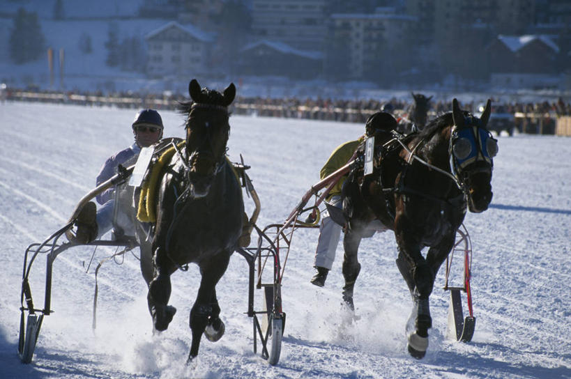 跑,横图,室外,锻炼,快乐,风险,比赛,运动,竞争,湖,雪,马,瑞士,冰,冬天,娱乐,休闲,滑雪场,摄影,迅速,雪橇,体育运动,冬季运动,获胜,体育,赛马,彩图,健身,策骑者,骑师,赛马骑师