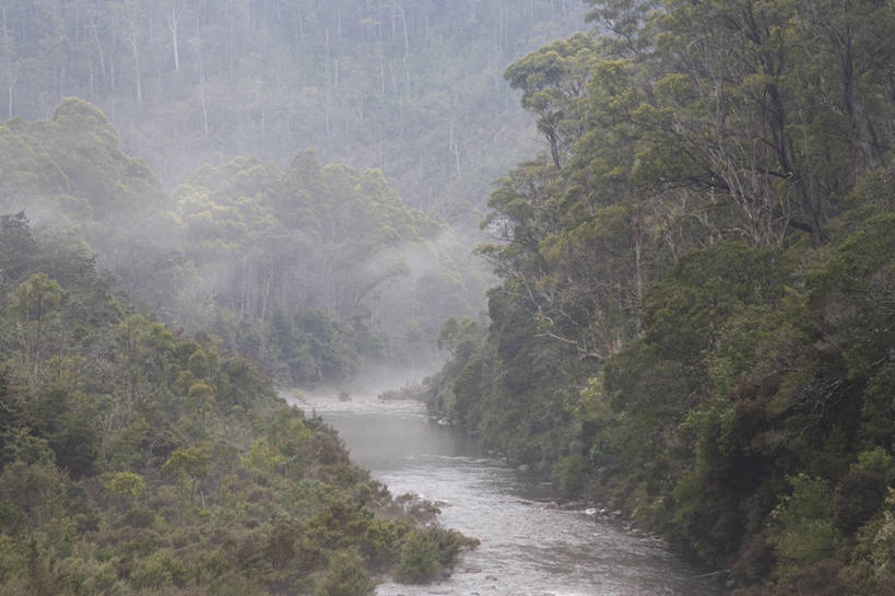 无人,横图,室外,采矿业,路,铁路,火车,澳大利亚,轨道,交通,铁轨,历史,运输,摄影,修复,机车,塔斯马尼亚,蒸汽机车,彩图,传统文化,雨林