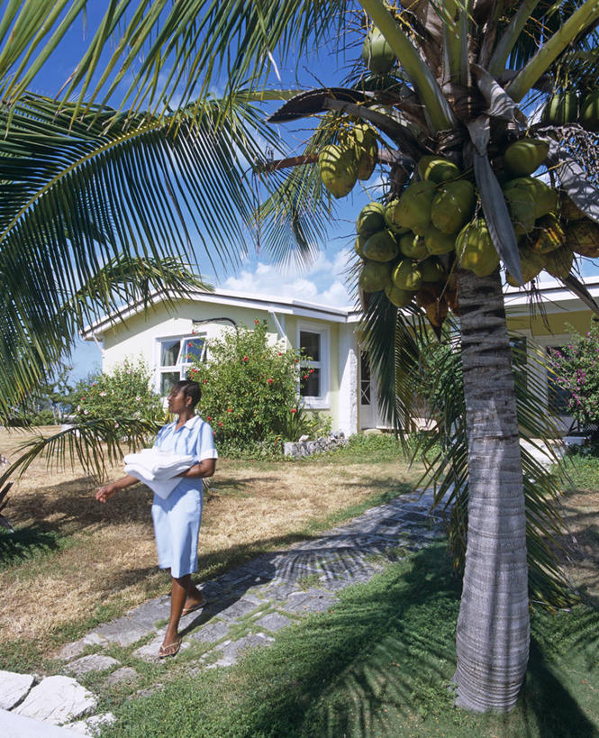 儿童,成年人,一个人,竖图,室外,岛,热,树,洗衣服,摄影,女仆,热带气候,女孩,女人,椰子树,彩图,巴哈马群岛