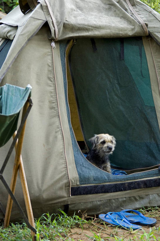 儿童,两个人,导游,横图,室外,度假,纯洁,火,非洲,肯尼亚,可爱,童年,童趣,摄影,露营,童真,烂漫,无邪,冒险,天真,男孩,彩图,旅行,营火