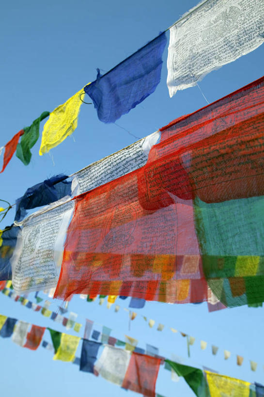 成年人,码头,横图,水,自行车,英国,欧洲,行人,游客,游人,方向,苏格兰,路人,旅客,车,脚踏车,锁,骑,交通工具,骑车,摄影,运河,西欧,载具,大不列颠,大不列颠及北爱尔兰联合王国,苏格兰高地,大不列颠及爱尔兰联合王国,苏格兰王国,过客,本尼维斯山,女人,彩图,旅行,格兰扁山脉,大不列颠王国,大英帝国,联合王国,日不落帝国,横越