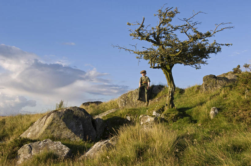 无人,农场,横图,室外,农业,美景,山,日光,英国,欧洲,地形,高原,景观,树,自然,山楂树,景色,摄影,西欧,自然风光,大不列颠,威尔士,大不列颠及北爱尔兰联合王国,大不列颠及爱尔兰联合王国,威尔士公国,彩图,康威自治市,大不列颠王国,大英帝国,联合王国,日不落帝国,斯诺登峰,北威尔士