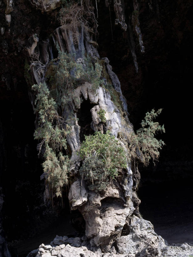 无人,横图,也门,地形,摄影,洞穴,印度洋,钟乳石,石灰石,海滩,群岛,岩石,彩图