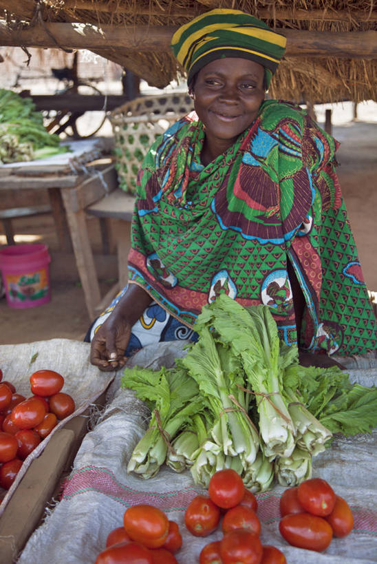 成年人,一个人,竖图,商务,菠菜,蔬菜,西红柿,非洲,坦桑尼亚,仅一个女性,小贩,市场,货摊,零售,摄影,清新,销售,贩卖,东非,女人,非洲人,彩图
