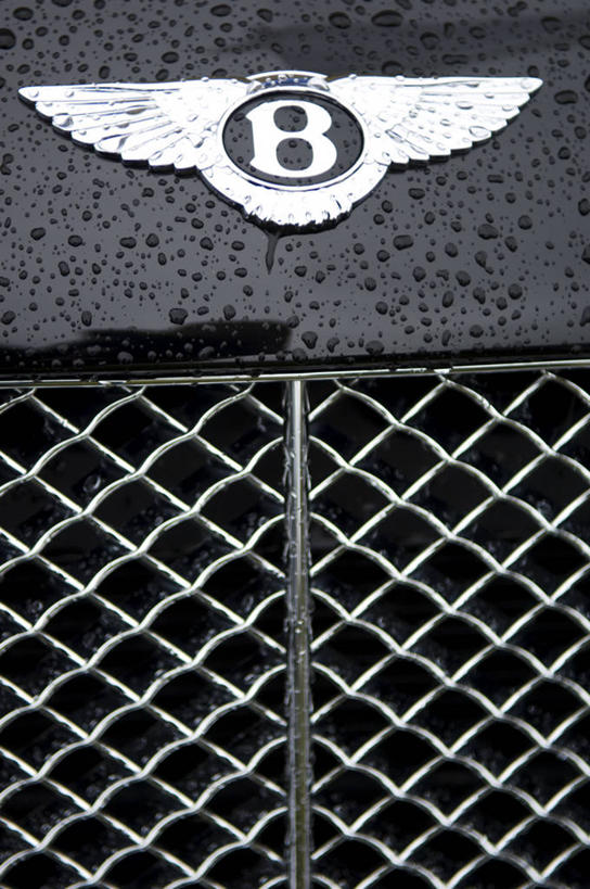 无人,商务人士,竖图,商务,汽车,标志,符号,英格兰,车,交通工具,发动机,财富,运输,摄影,徽章,载具,华贵,驾车,渴望,英国文化,铬合金,能力,彩图,风帽,格柵