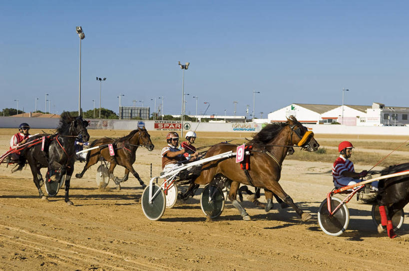 跑,横图,锻炼,快乐,比赛,运动,竞争,西班牙,欧洲,毛泽东,娱乐,休闲,摄影,活动,体育运动,地中海文化,南欧,西班牙王国,圆形剧场,巴利阿里群岛,巴利阿里,梅诺卡岛,体育,赛马,彩图,健身