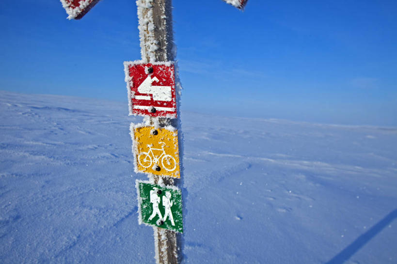 成年人,一个人,打电话,横图,室外,通讯,探险,北极,雪,狗,挪威,仅一个男性,天气,北,寒冷,摄影,斯堪的纳维亚,雪橇犬,斯堪狄纳维亚半岛,探险家,男人,电话机,彩图,旅行