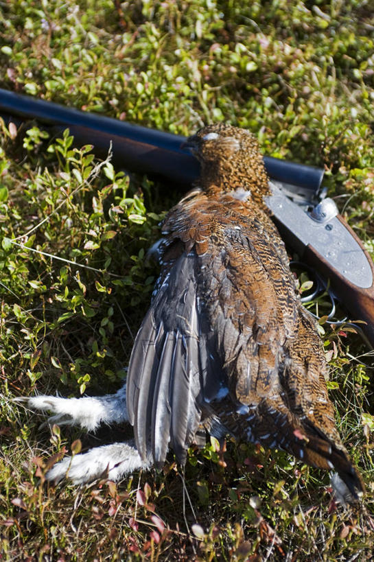 无人,竖图,雕塑,法国,巴黎,欧洲,条纹,艺术,首都,现代,摄影,创造力,手艺,拉德芳斯,美术工艺,彩图